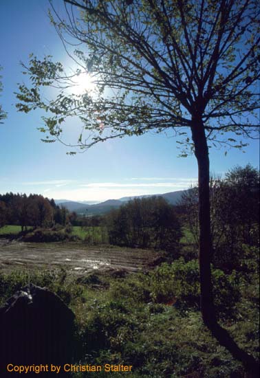 Bild 02.jpg (45387 Byte)