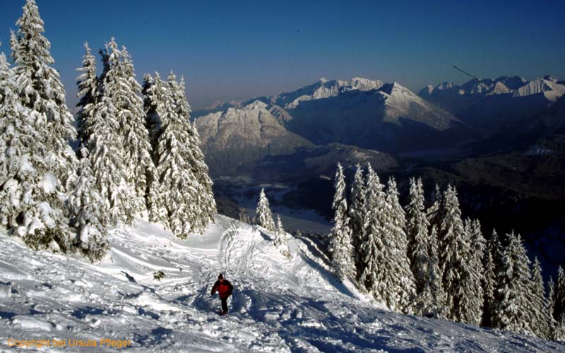 Skitour 004 Reutte Gipfel 29.01.2005   Bild 03